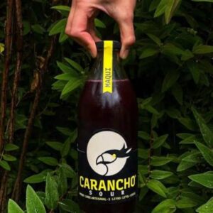 PISCO SOUR MAQUI 1 lt - CARANCHO